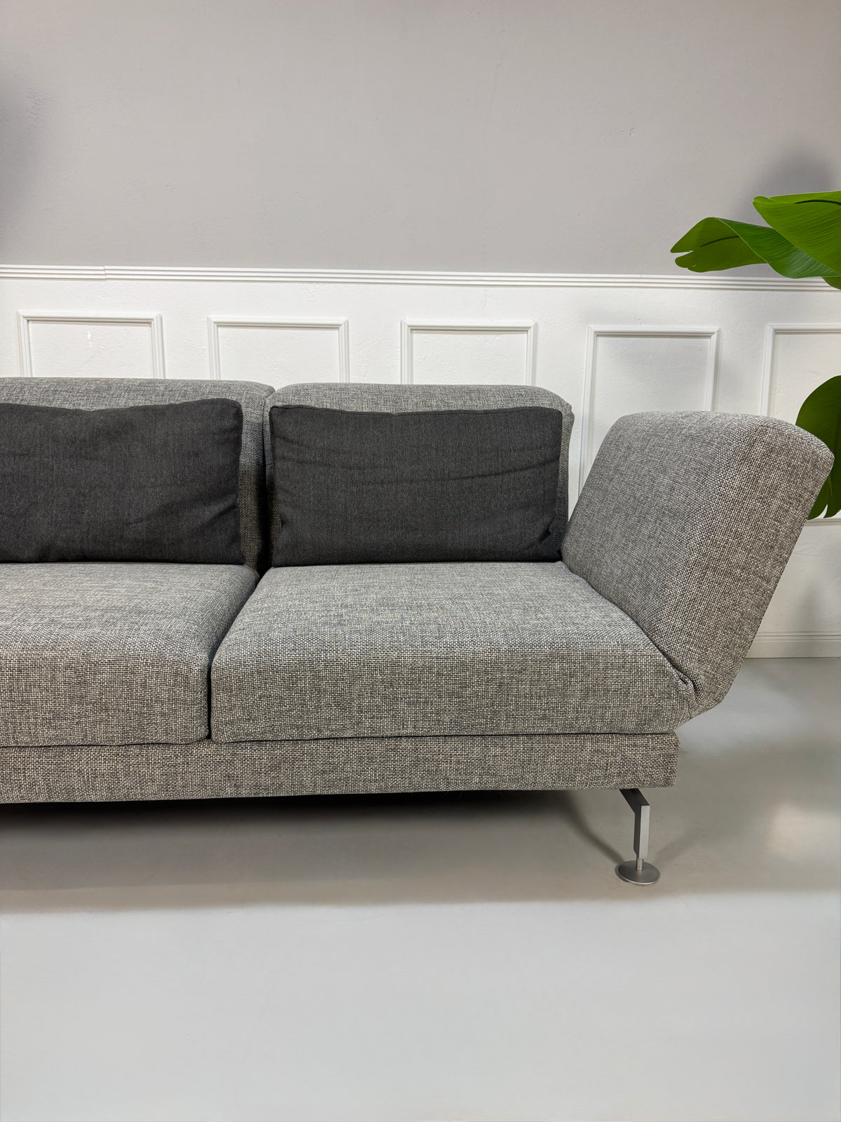 Gebrauchtes Brühl Moule Designer Stoff Sofa in der Farbe Grau vor einer Wand, stilvoll und modern eingerichtet.