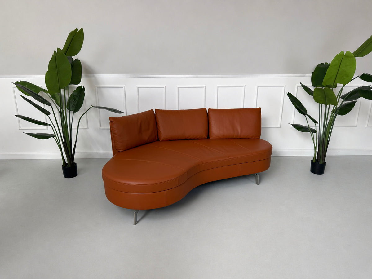 De Sede DS 167 Zweisitzer Sofa Leder DeSede Braun Schweiz Ausstellungsstück – Ansicht 2