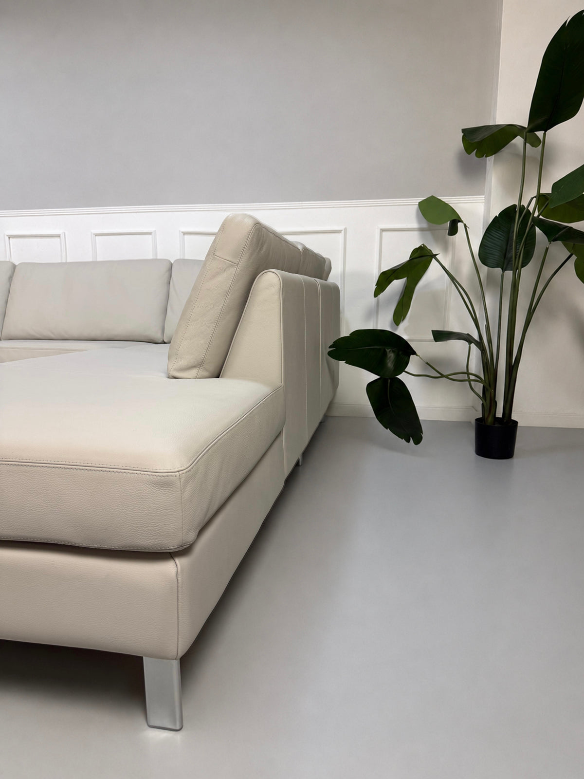 Gebrauchtes graues COR Conseta Designer Leder Sofa vor einer Wand, stilvoll und modern eingerichtet.