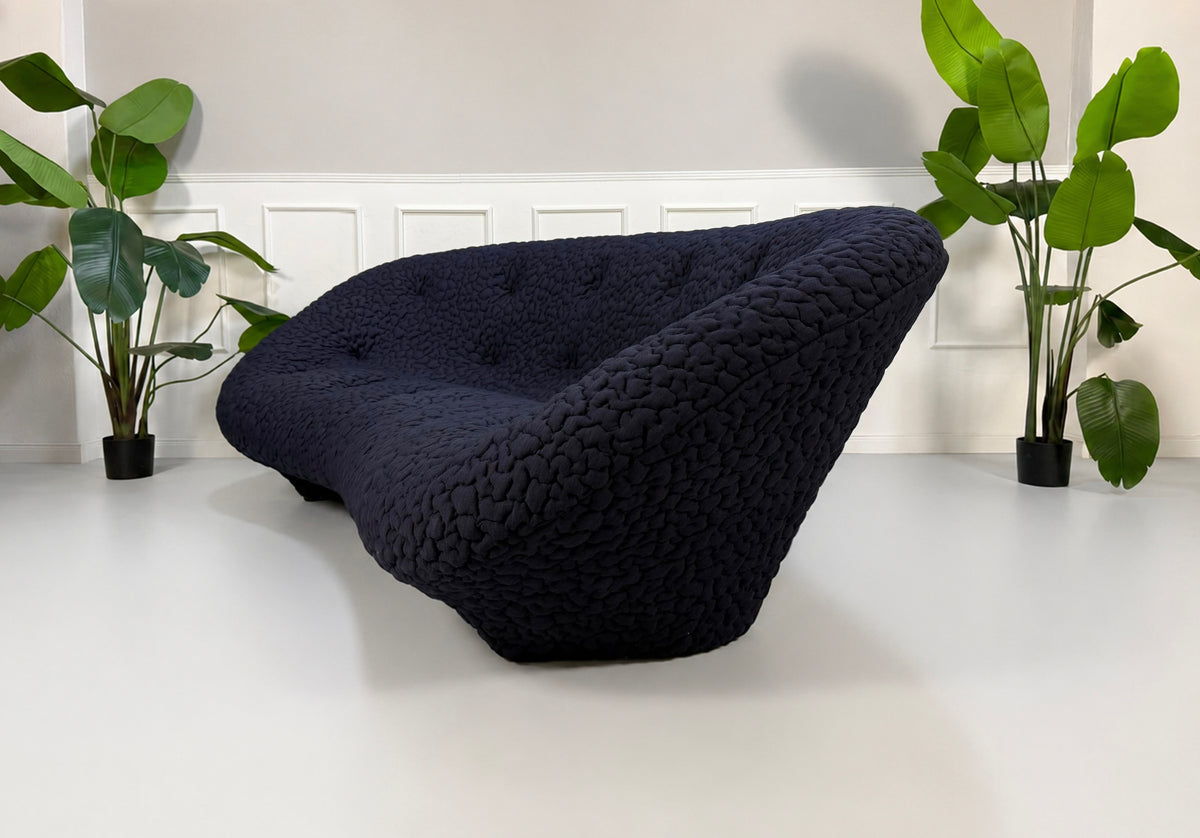Gebrauchtes blaues Ligne Roset Ploum Designer Stoff Sofa vor einer Wand, stilvoll und modern eingerichtet.