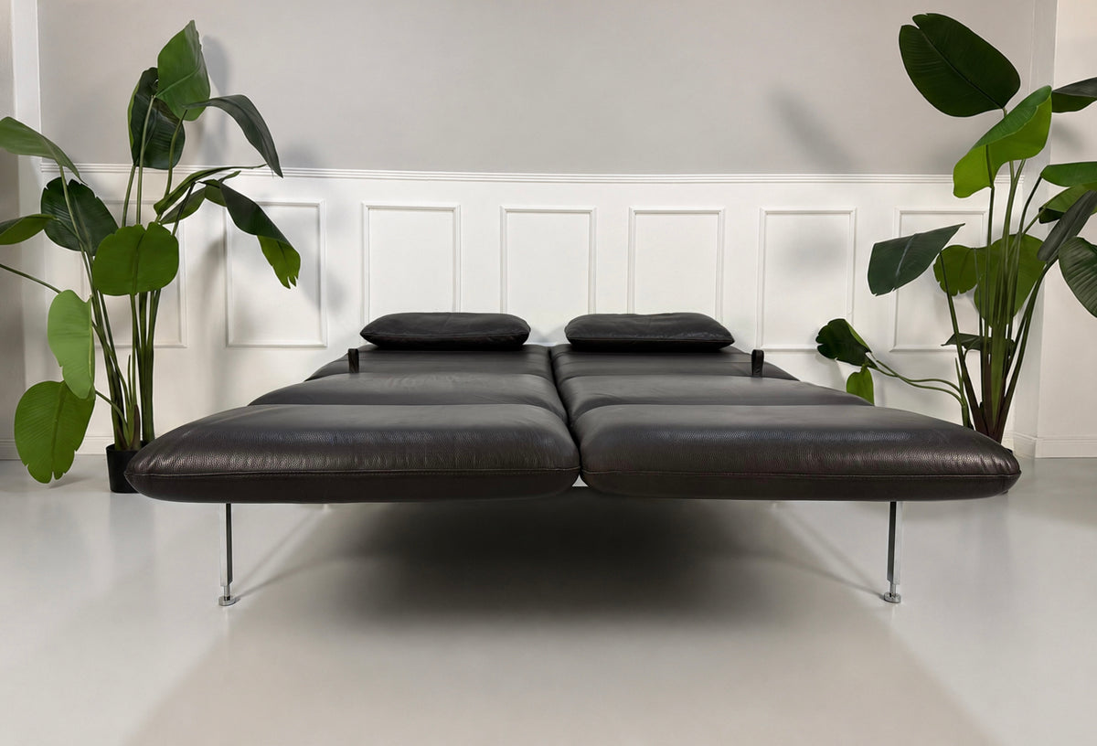 Gebrauchtes braunes Brühl Roro Medium Designer Leder Sofa vor einer Wand, stilvoll und modern eingerichtet.