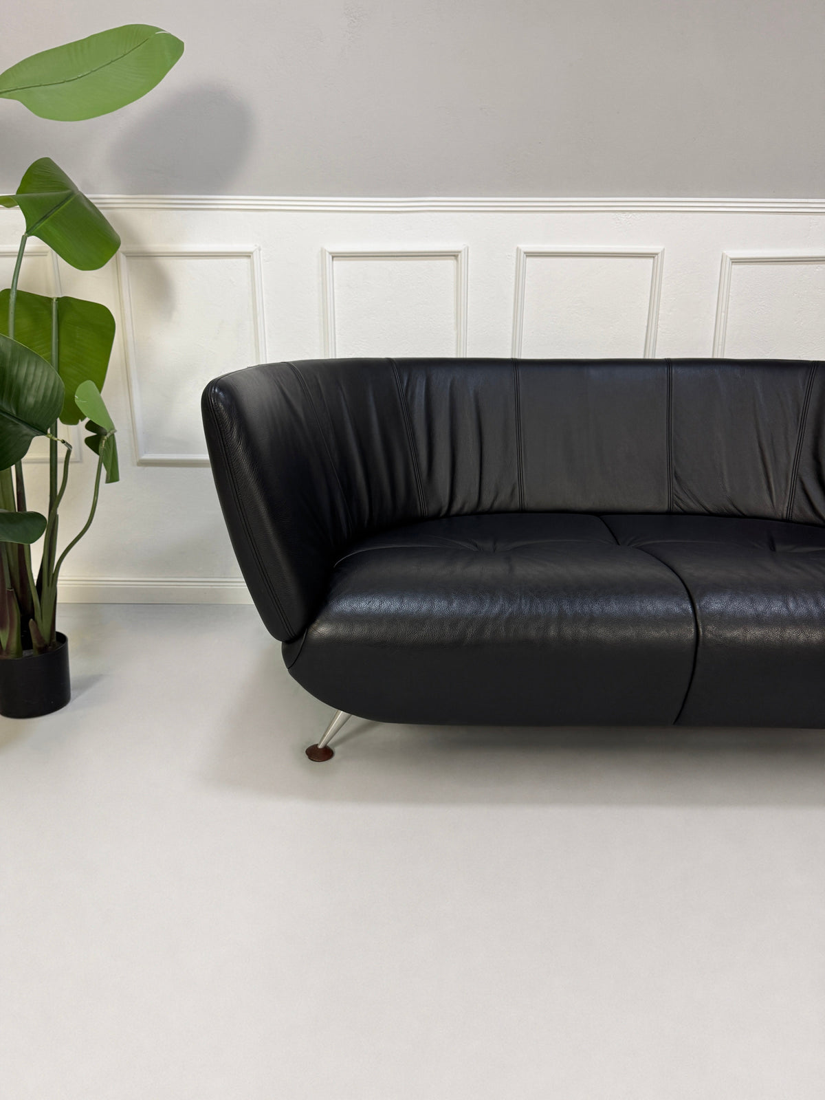 De Sede DS 102 Zweisitzer Sofa Leder DeSede Schwarz Schweiz Couch – Ansicht 3