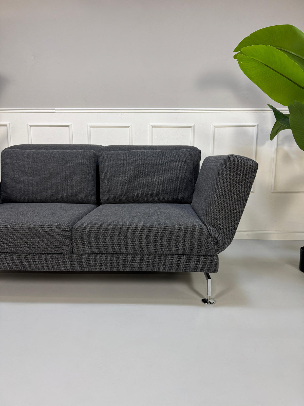 Gebrauchtes graues Brühl Moule Designer Stoff Sofa vor einer Wand, stilvoll und modern eingerichtet.