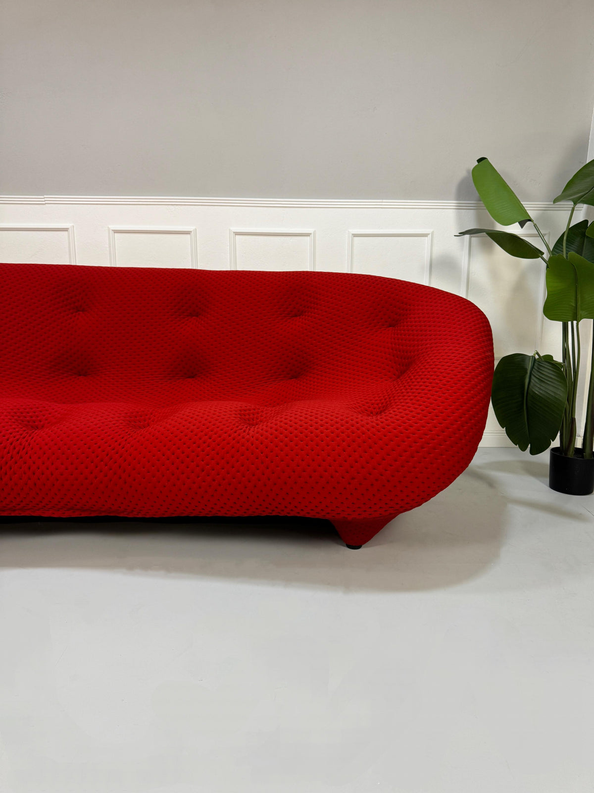 Gebrauchtes rotes Ligne Roset Ploum Designer Stoff Sofa vor einer Wand, stilvoll und modern eingerichtet.
