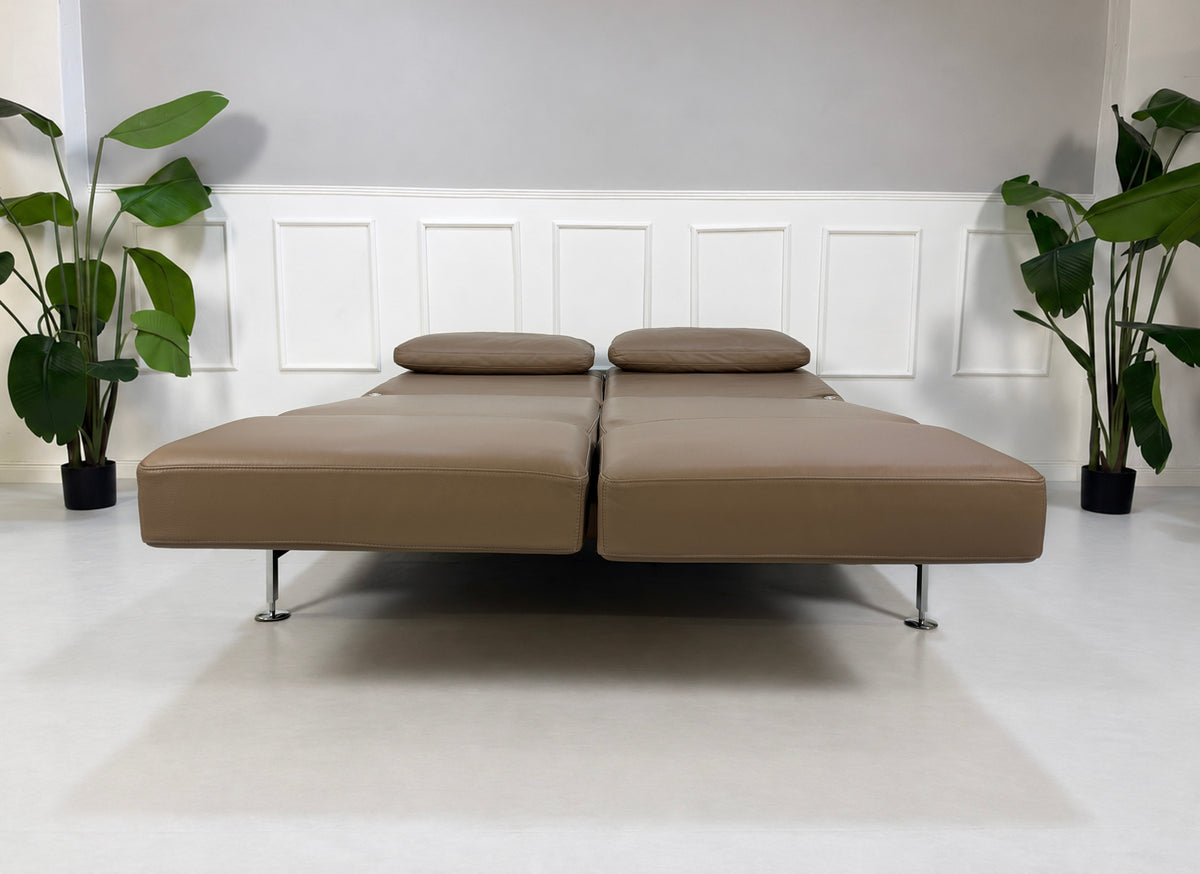Gebrauchtes braunes Brühl Moule Medium Designer Leder Sofa vor einer Wand, stilvoll und modern eingerichtet.